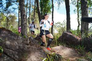 BIB: 
                            <button type="button" onclick="openModal(18916311)" class="btn btn-primary btn-sm float-right btn-popup" data-toggle="modal" data-target=".modal-high-quality">
                        <i class="fas fa-shopping-cart"></i> Add to Cart
                    </button>
                                            <button type="button" onclick="isThisMe(18916311, true)" class="btn btn-success btn-sm float-right btn-popup btn-isme hidden" data-toggle="tooltip" data-placement="bottom" title="นี่คือรูปของคุณใช่ไหม คลิกที่นี่เพื่อเอาเข้าอัลบั้ม">
                        <i class="fas fa-plus"></i> Add to album
                    </button>
                    <button type="button" onclick="isThisMe(18916311, false)" class="btn btn-warning btn-sm float-right btn-popup btn-isnotme hidden">
                        <i class="fas fa-ban"></i> Remove from album
                    </button>